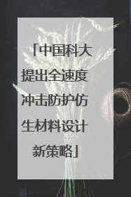 中国科大提出全速度冲击防护仿生材料设计新策略