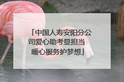 中国人寿安阳分公司爱心助考显担当 暖心服务护梦想