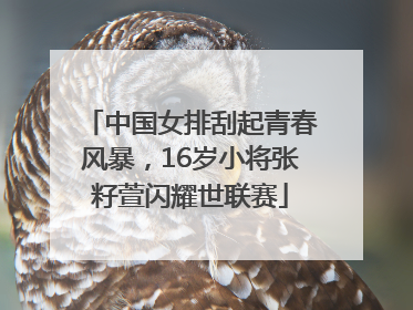 中国女排刮起青春风暴，16岁小将张籽萱闪耀世联赛