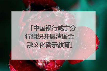 中国银行咸宁分行组织开展清廉金融文化警示教育