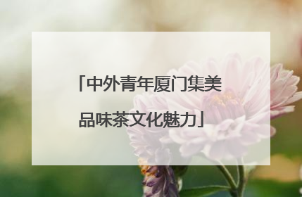 中外青年厦门集美品味茶文化魅力