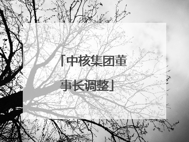 中核集团董事长调整