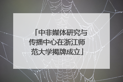 中非媒体研究与传播中心在浙江师范大学揭牌成立