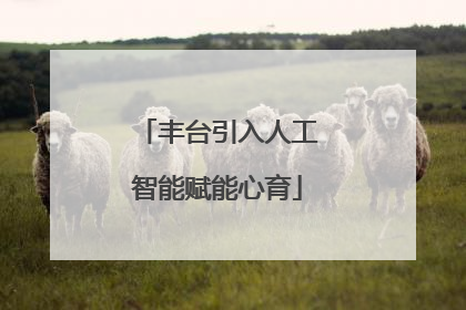 丰台引入人工智能赋能心育