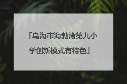 乌海市海勃湾第九小学创新模式有特色