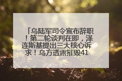 乌陆军司令宣布辞职！第二轮谈判在即，泽连斯基提出三大核心诉求！乌方透露摧毁41架俄战略轰炸机