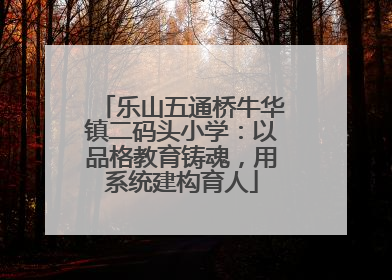 乐山五通桥牛华镇二码头小学：以品格教育铸魂，用系统建构育人