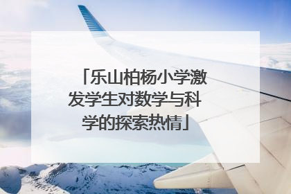 乐山柏杨小学激发学生对数学与科学的探索热情