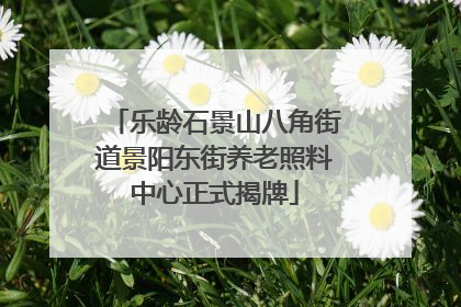 乐龄石景山八角街道景阳东街养老照料中心正式揭牌