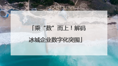 乘“数”而上！解码冰城企业数字化突围