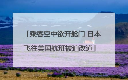 乘客空中欲开舱门 日本飞往美国航班被迫改道