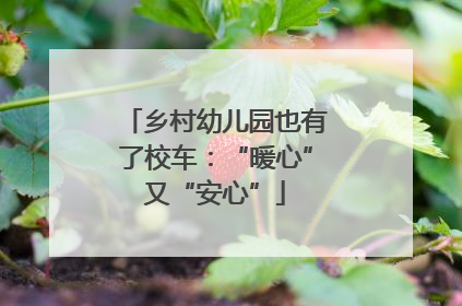 乡村幼儿园也有了校车：“暖心”又“安心”