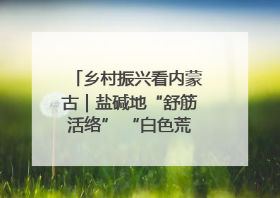 乡村振兴看内蒙古｜盐碱地“舒筋活络” “白色荒漠”长出吨粮田