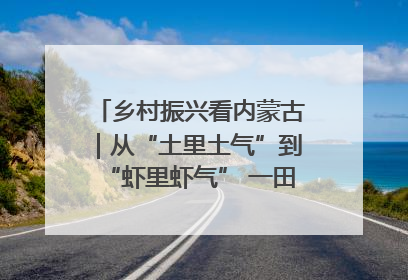 乡村振兴看内蒙古｜从“土里土气”到“虾里虾气” 一田双收模式火出圈