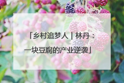 乡村追梦人｜林丹：一块豆腐的产业逆袭