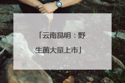 云南昆明：野生菌大量上市