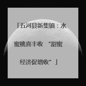 五河县新集镇：水蜜桃喜丰收 “甜蜜经济促增收”