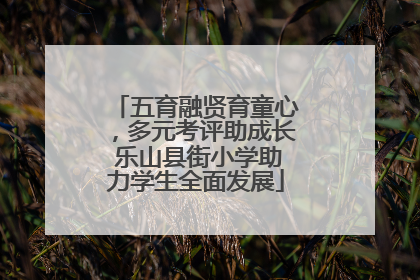 五育融贤育童心，多元考评助成长 乐山县街小学助力学生全面发展