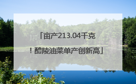 亩产213.04千克！醴陵油菜单产创新高