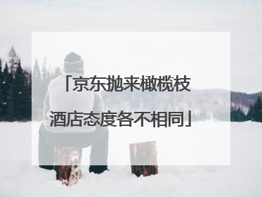 京东抛来橄榄枝 酒店态度各不相同