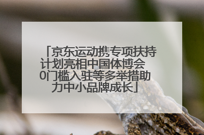 京东运动携专项扶持计划亮相中国体博会 0门槛入驻等多举措助力中小品牌成长