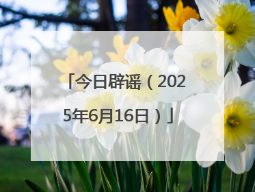 今日辟谣（2025年6月16日）