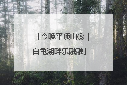 今晚平顶山⑥｜白龟湖畔乐融融