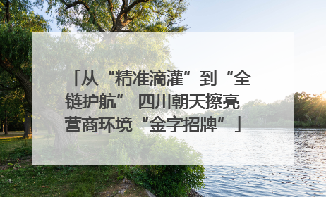 从“精准滴灌”到“全链护航” 四川朝天擦亮营商环境“金字招牌”