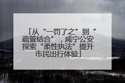 从“一罚了之”到“疏管结合”，咸宁公安探索“柔性执法”提升市民出行体验