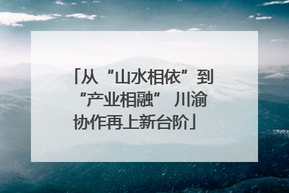 从“山水相依”到“产业相融” 川渝协作再上新台阶