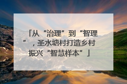 从“治理”到“智理”，圣水塘村打造乡村振兴“智慧样本”
