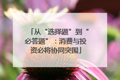 从“选择题”到“必答题”：消费与投资必将协同突围