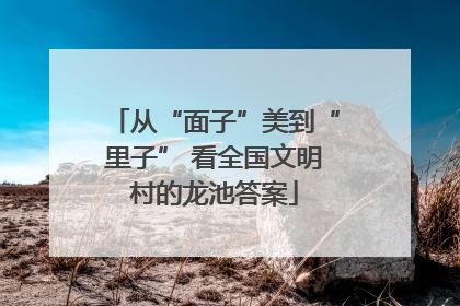 从“面子”美到“里子” 看全国文明村的龙池答案