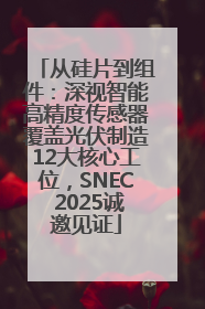 从硅片到组件：深视智能高精度传感器覆盖光伏制造12大核心工位，SNEC 2025诚邀见证