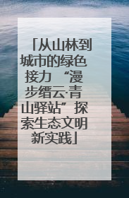 从山林到城市的绿色接力 “漫步缙云·青山驿站”探索生态文明新实践