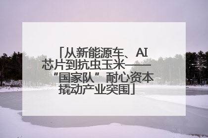 从新能源车、AI芯片到抗虫玉米——“国家队”耐心资本撬动产业突围