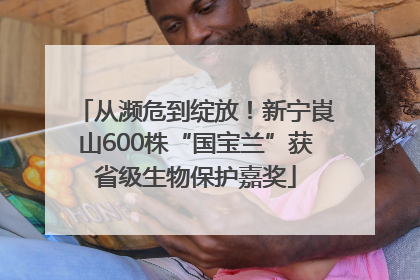 从濒危到绽放！新宁崀山600株“国宝兰”获省级生物保护嘉奖
