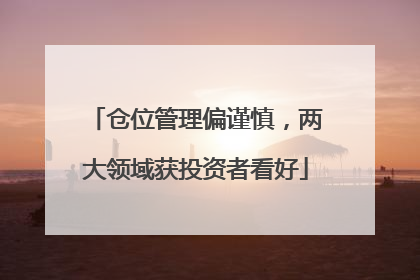 仓位管理偏谨慎，两大领域获投资者看好