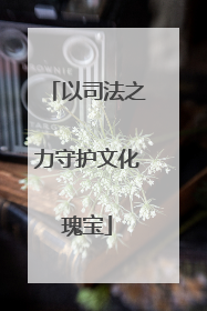 以司法之力守护文化瑰宝