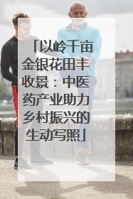 以岭千亩金银花田丰收景：中医药产业助力乡村振兴的生动写照