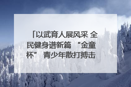 以武育人展风采 全民健身谱新篇 “金童杯” 青少年散打搏击邀请赛圆满落幕