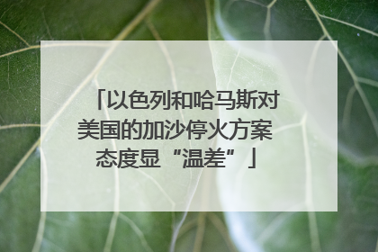 以色列和哈马斯对美国的加沙停火方案态度显“温差”