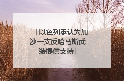 以色列承认为加沙一支反哈马斯武装提供支持