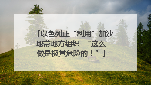 以色列正“利用”加沙地带地方组织  “这么做是极其危险的！”