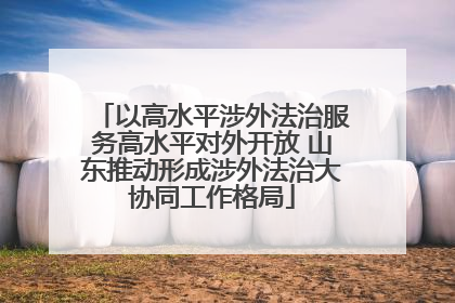 以高水平涉外法治服务高水平对外开放 山东推动形成涉外法治大协同工作格局