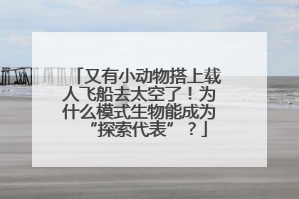 又有小动物搭上载人飞船去太空了！为什么模式生物能成为“探索代表”？