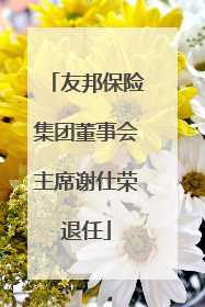 友邦保险集团董事会主席谢仕荣退任