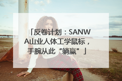 反卷计划：SANWA山业人体工学鼠标，手腕从此“躺赢”