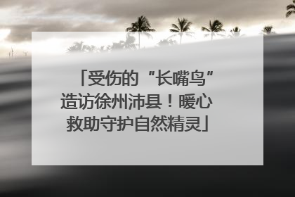 受伤的“长嘴鸟”造访徐州沛县！暖心救助守护自然精灵