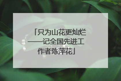 只为山花更灿烂——记全国先进工作者陈萍花